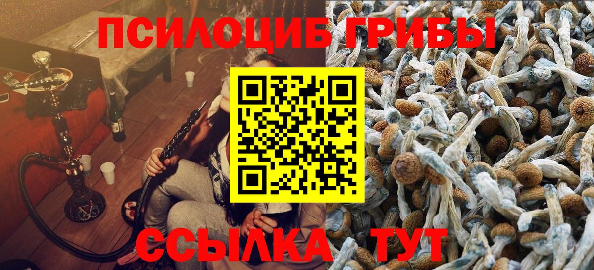 Псилоцибиновые грибы Cubensis Приморско-Ахтарск